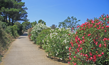 Begur
